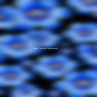 blue flowers background