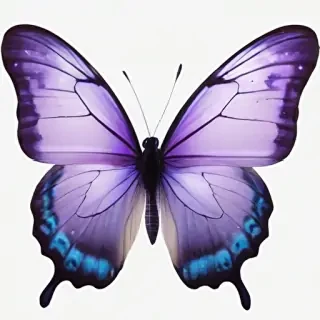 transparent purple butterfly