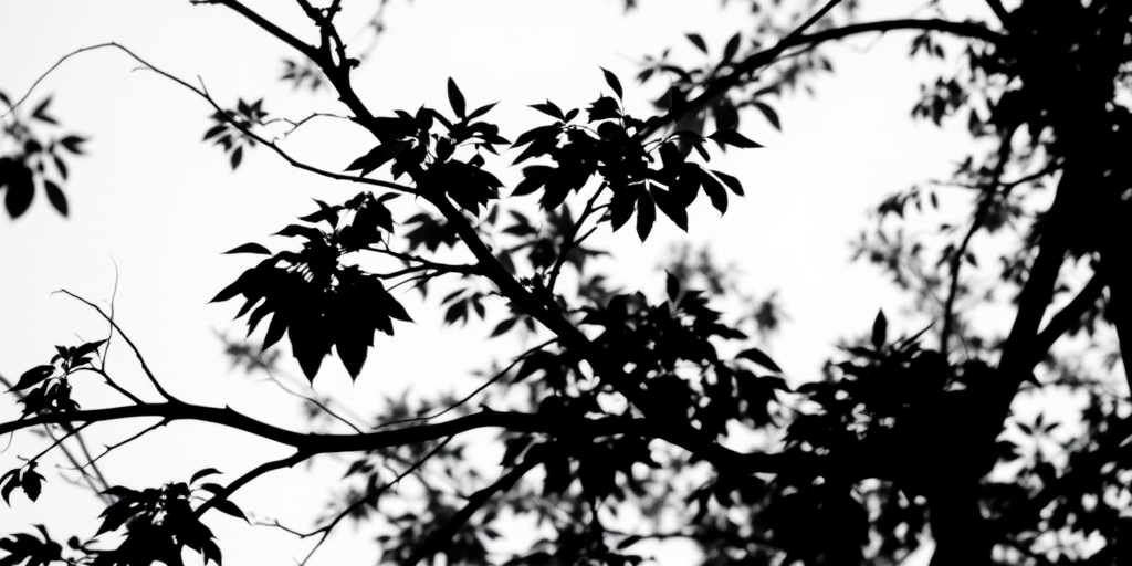 black and white silhouette of tree branches and leaves against a white background, soft focus, f/8 aperture, 1/200s shutter speed, ISO 100, taken with a full-frame camera in landscape orientation, high dynamic range photography