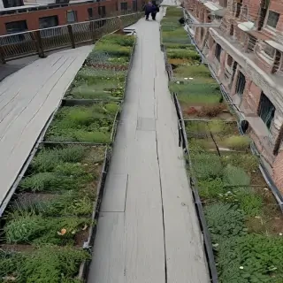 high line photos