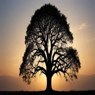 transparent tree silhouette