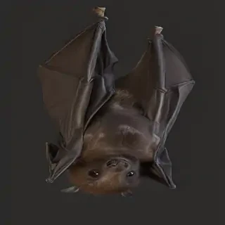 bat png