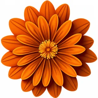 orange flower png
