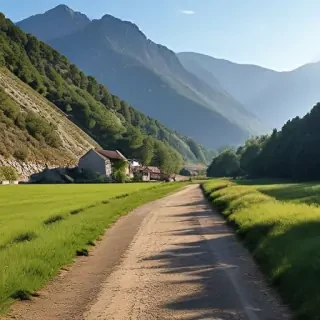 braque francais pyrenean
