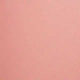 blush background