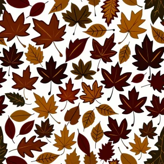 fall leaves png transparent