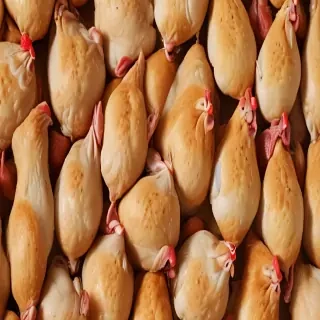 chicken background