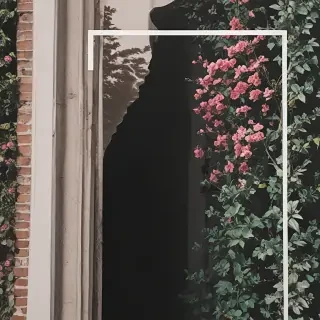 aesthetic borders