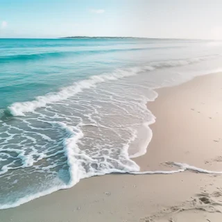 aesthetic beachy backgrounds