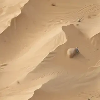 cartoon sand