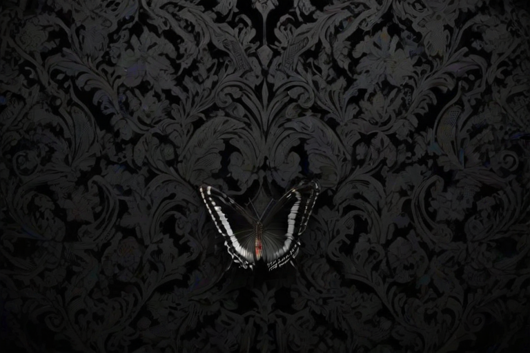 black wallpaper butterfly