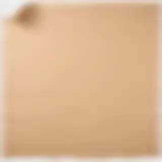ripped paper png transparent