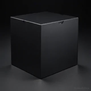 black box image