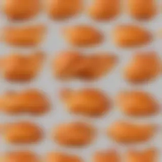 chicken png