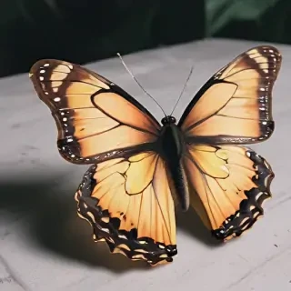 butterfly aesthetic