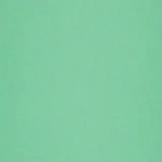 mint green background