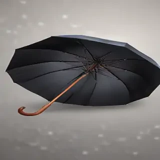 png umbrella