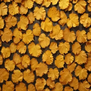 golden leaves background