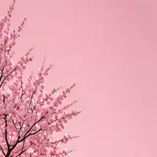 pastel pink aesthetic wallpaper