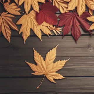 fall wallpapers iphone