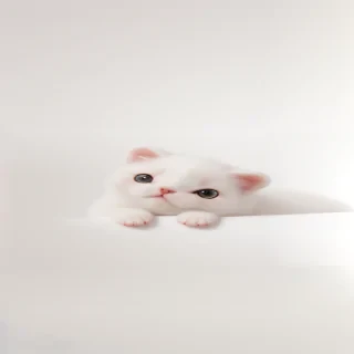 cute white wallpaper