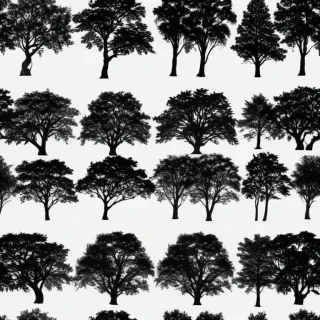trees silhouette png