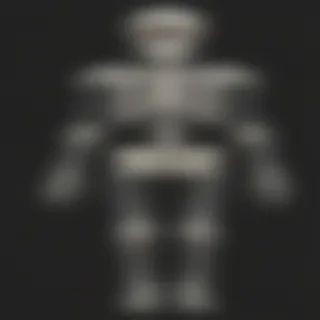 skeleton transparent