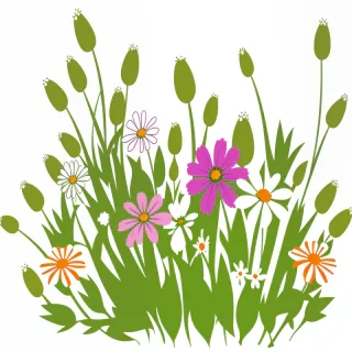 wildflower clipart free