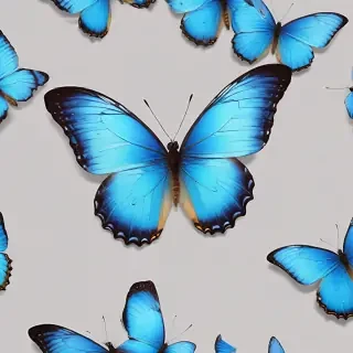 blue butterfly png