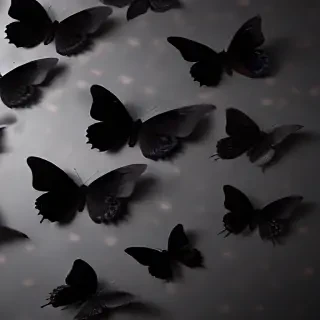 black butterfly wallpaper