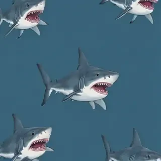 shark background