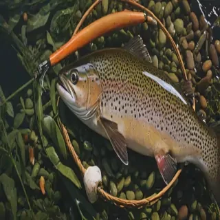trout fish