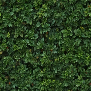 zoom background plants