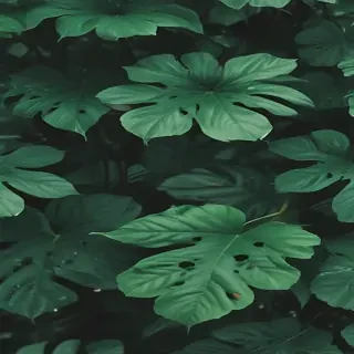 aesthetic background green