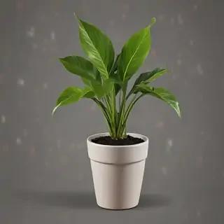 potted plant png