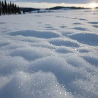 transparent snow