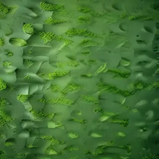 green textures