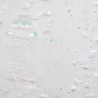 white bg