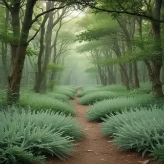 sage green photos