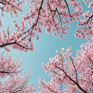 spring wallpaper aesthetic