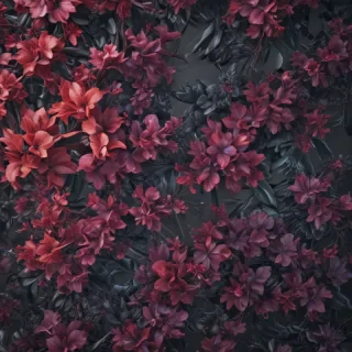iphone 11 wallpaper