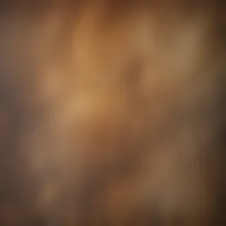 canvas texture overlay