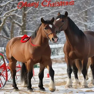 merry christmas images with horses