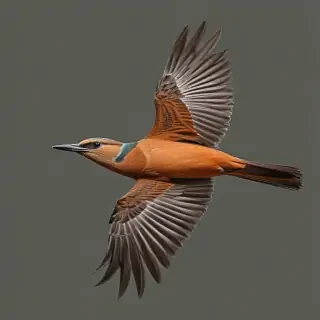 bird flying png