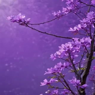 pretty purple backgrounds