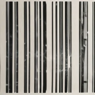 barcode sticker png