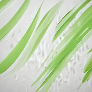 white and green background