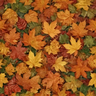 fall leaves