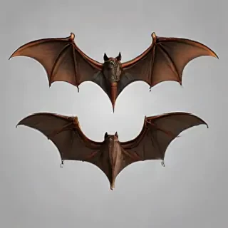 bat wings png