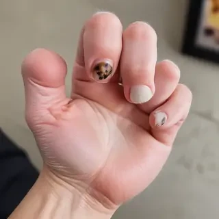 cat paw